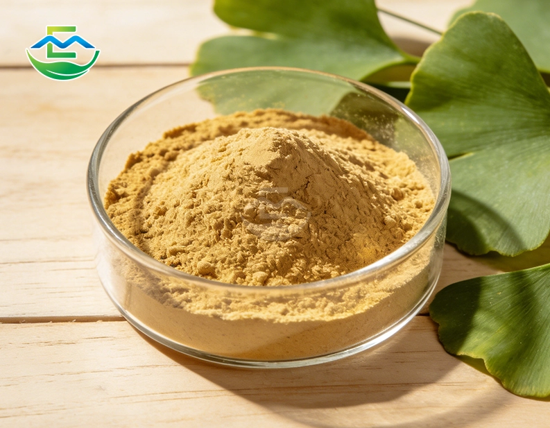 Ginkgo Biloba Extract powder
